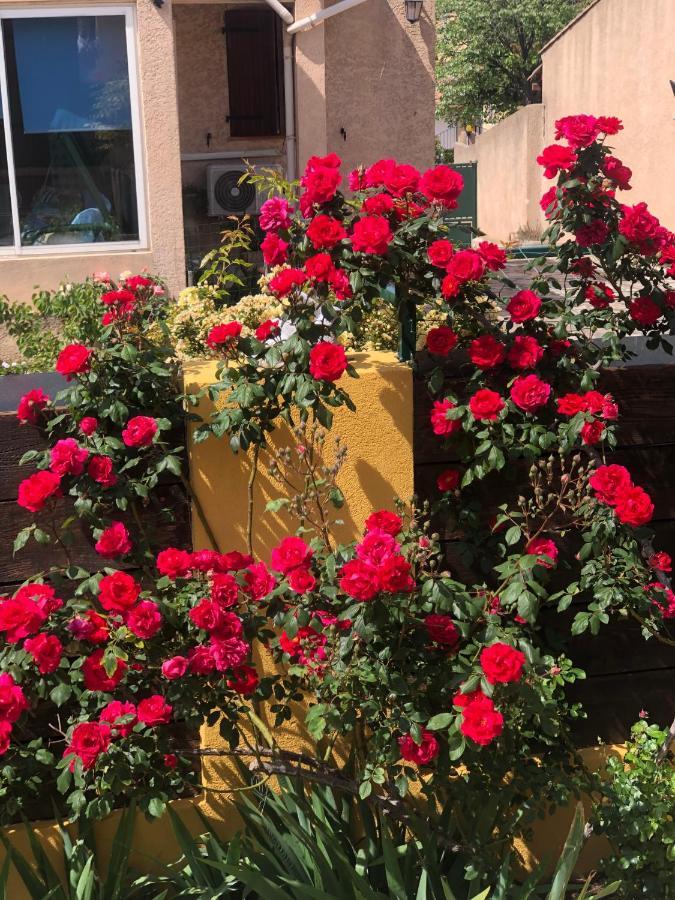 مبيت وإفطار مارسيليا Chez Guy المظهر الخارجي الصورة